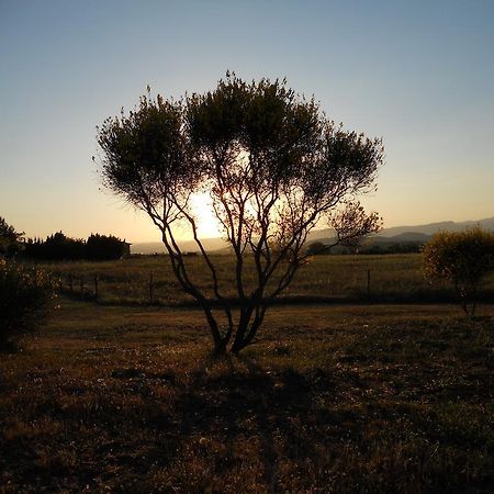 Agriturismo Il Grillo Parlante ピティリアーノ エクステリア 写真