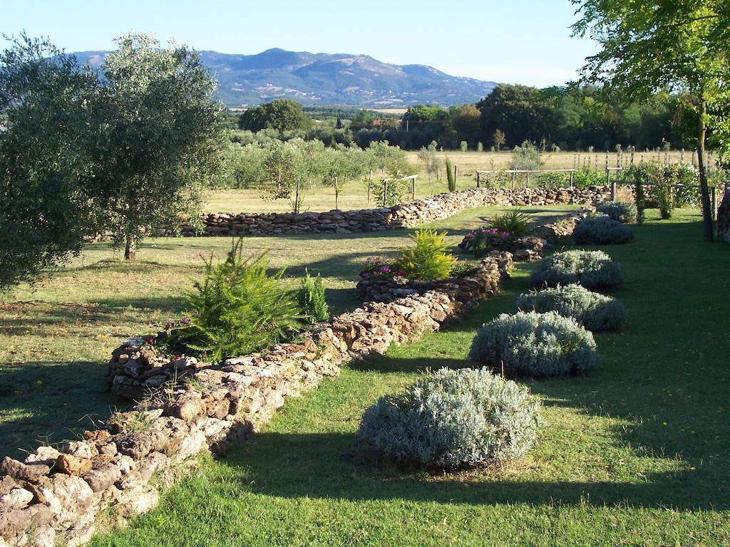 Agriturismo Il Grillo Parlante ピティリアーノ エクステリア 写真