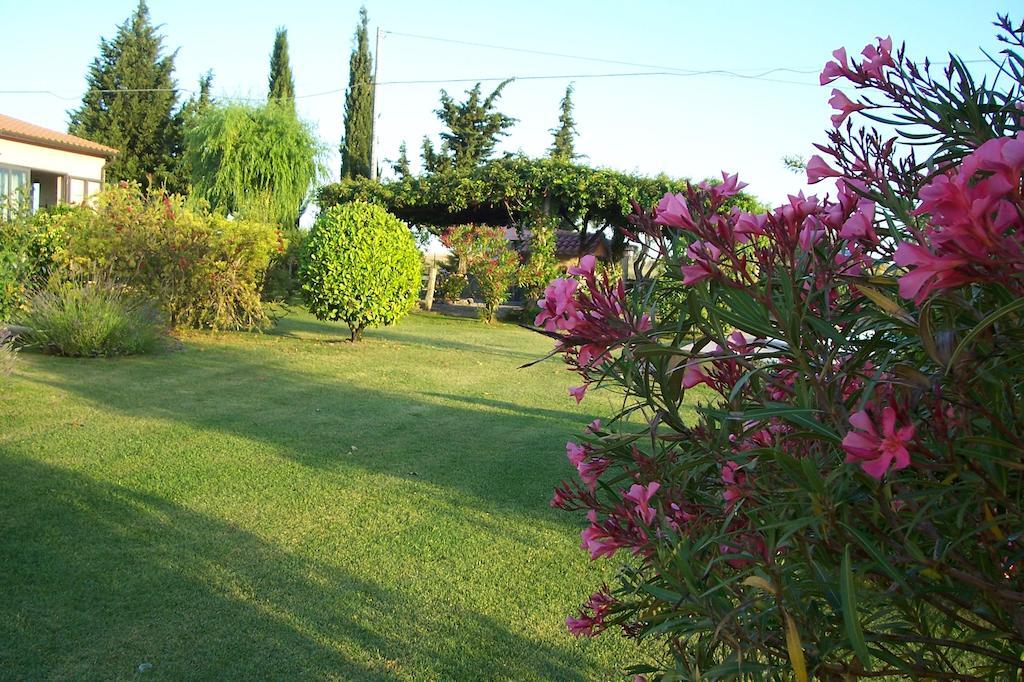 Agriturismo Il Grillo Parlante ピティリアーノ エクステリア 写真