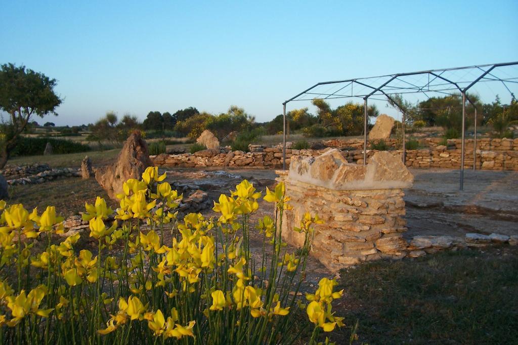 Agriturismo Il Grillo Parlante ピティリアーノ エクステリア 写真