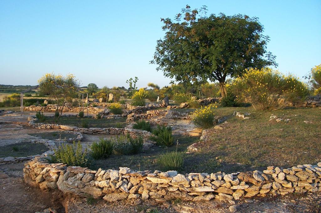 Agriturismo Il Grillo Parlante ピティリアーノ エクステリア 写真