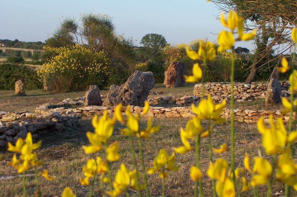 Agriturismo Il Grillo Parlante ピティリアーノ エクステリア 写真
