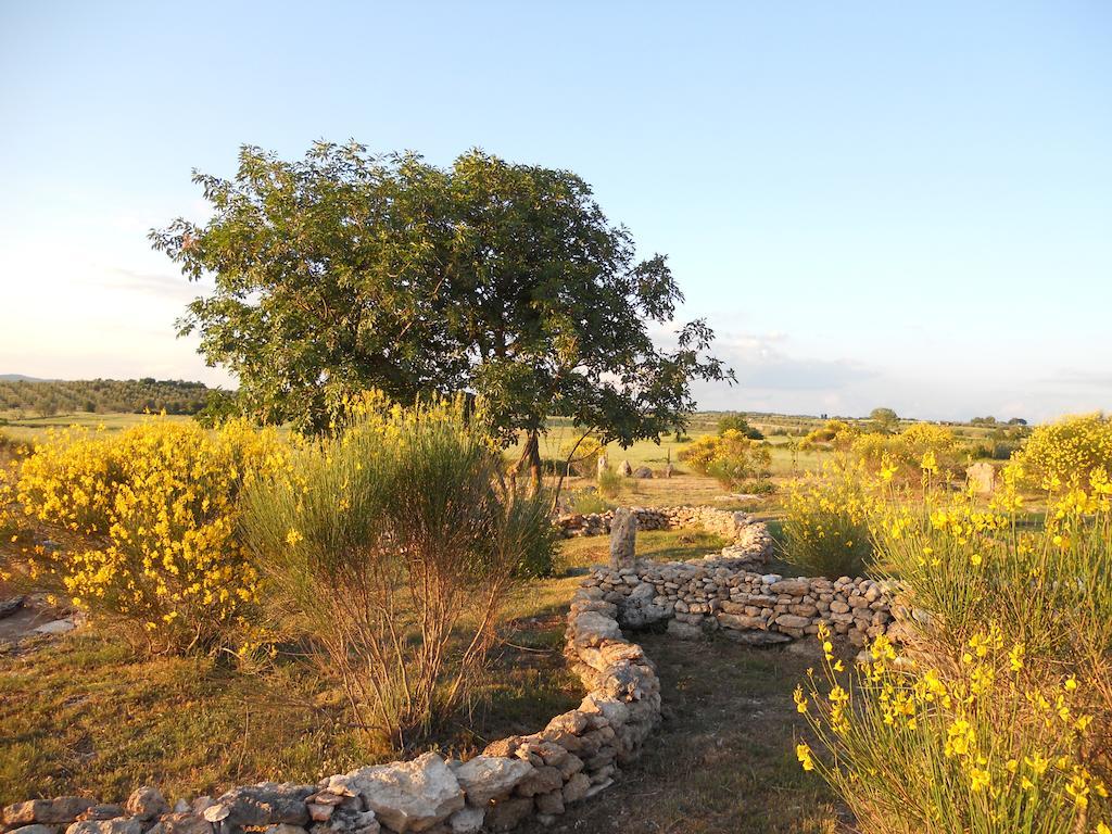 Agriturismo Il Grillo Parlante ピティリアーノ エクステリア 写真