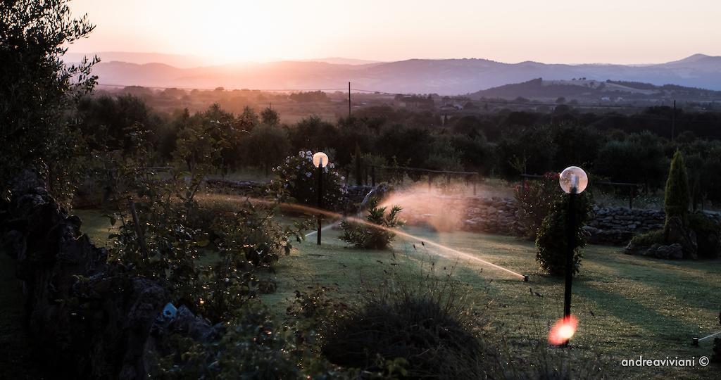 Agriturismo Il Grillo Parlante ピティリアーノ エクステリア 写真