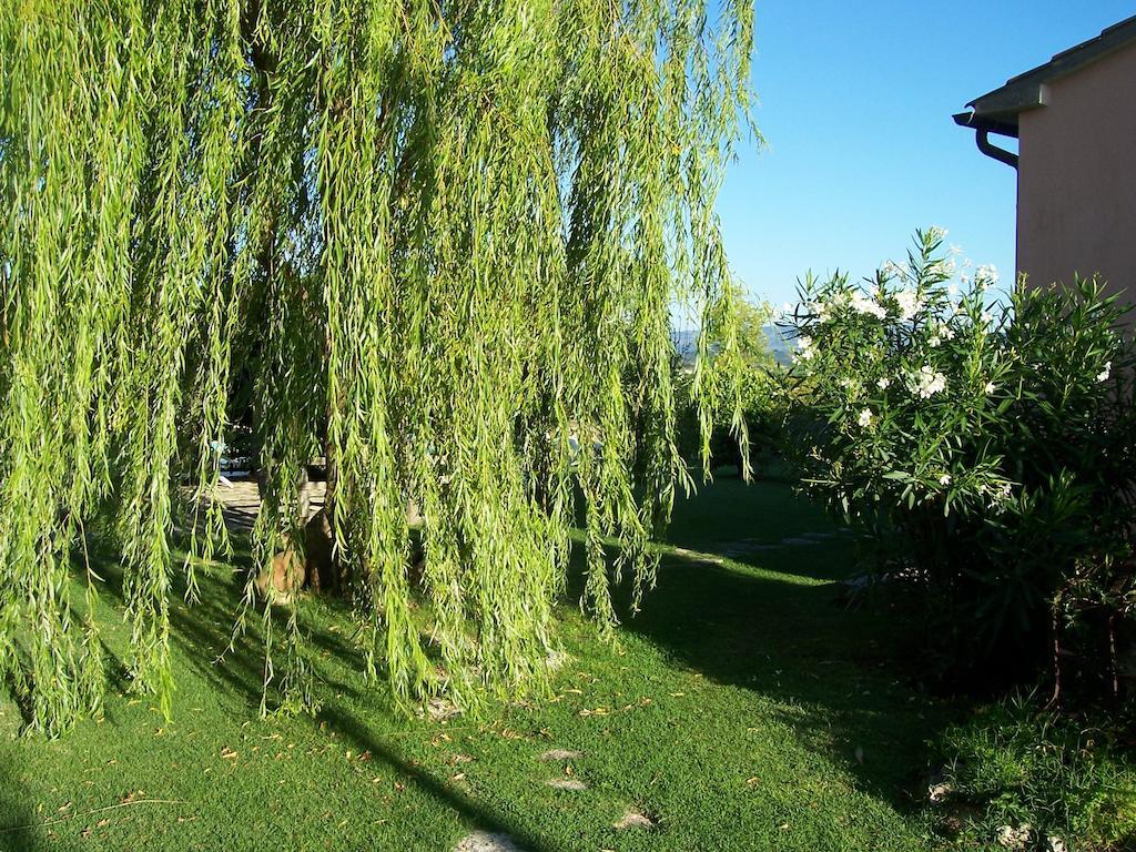 Agriturismo Il Grillo Parlante ピティリアーノ エクステリア 写真